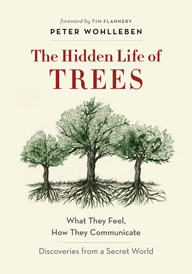 hidden life of trees