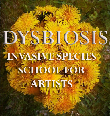 Dysbiosis