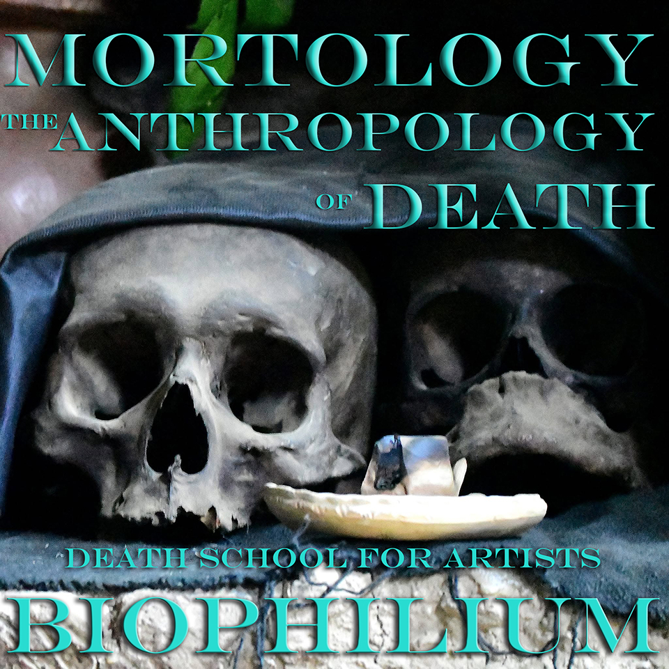 Mortology