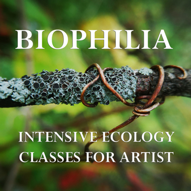 Biophilia