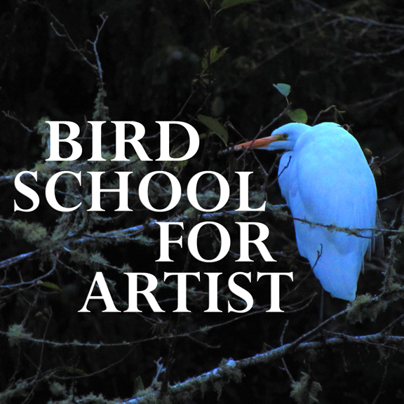 Bird Nerds